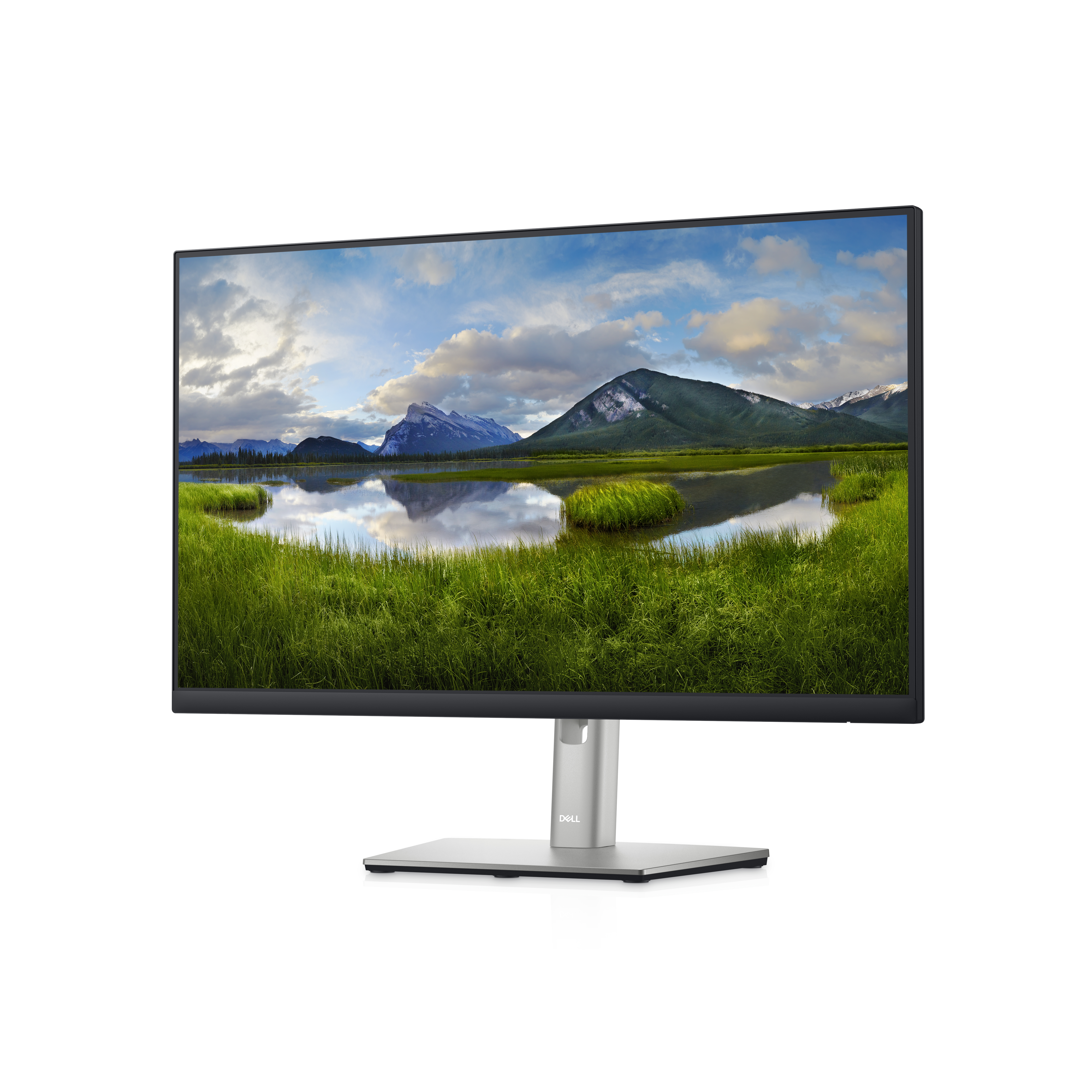 Dell P2422HE - 23,8" Zoll - 1920x1080