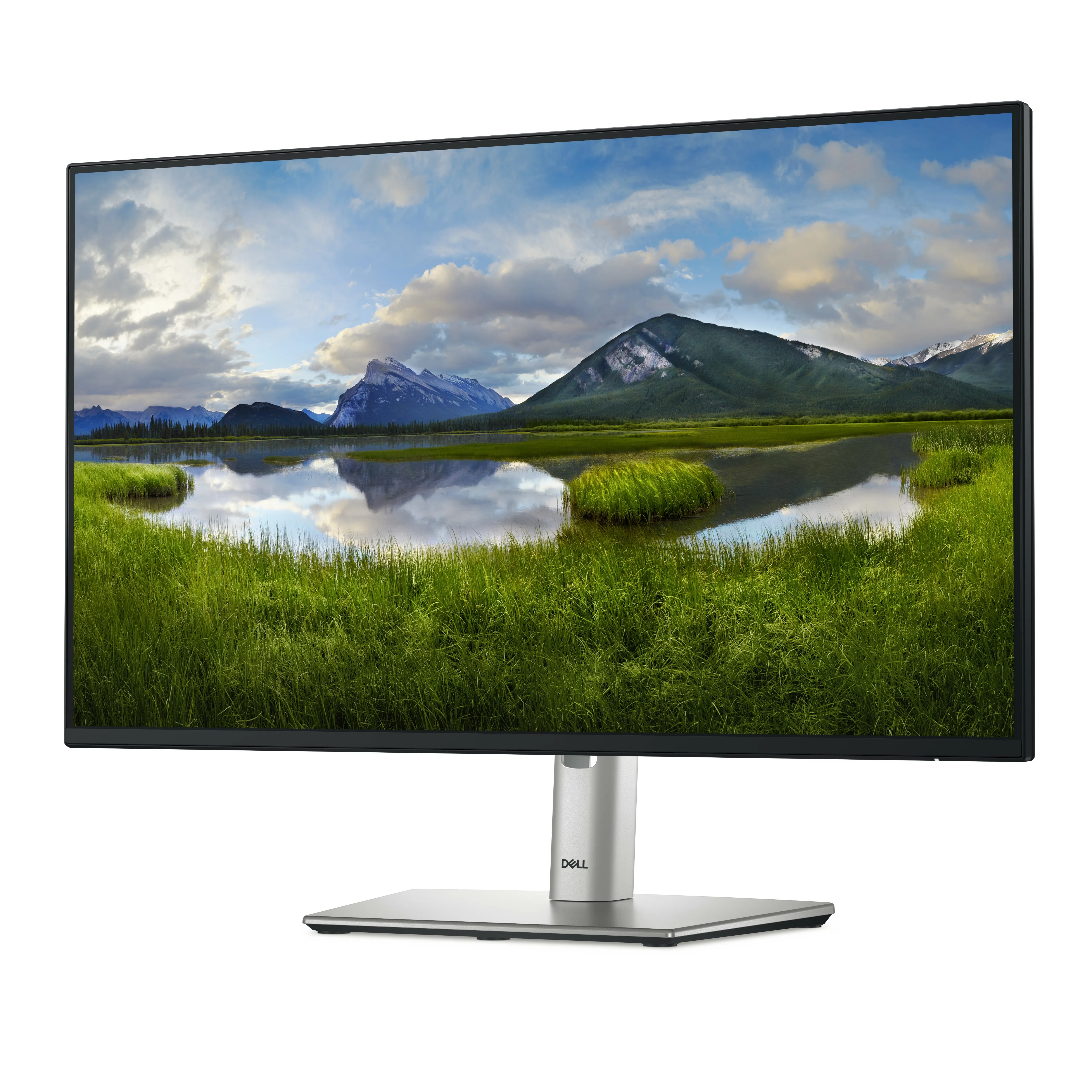 Dell P2425HE - 24" Zoll - 1920x1080