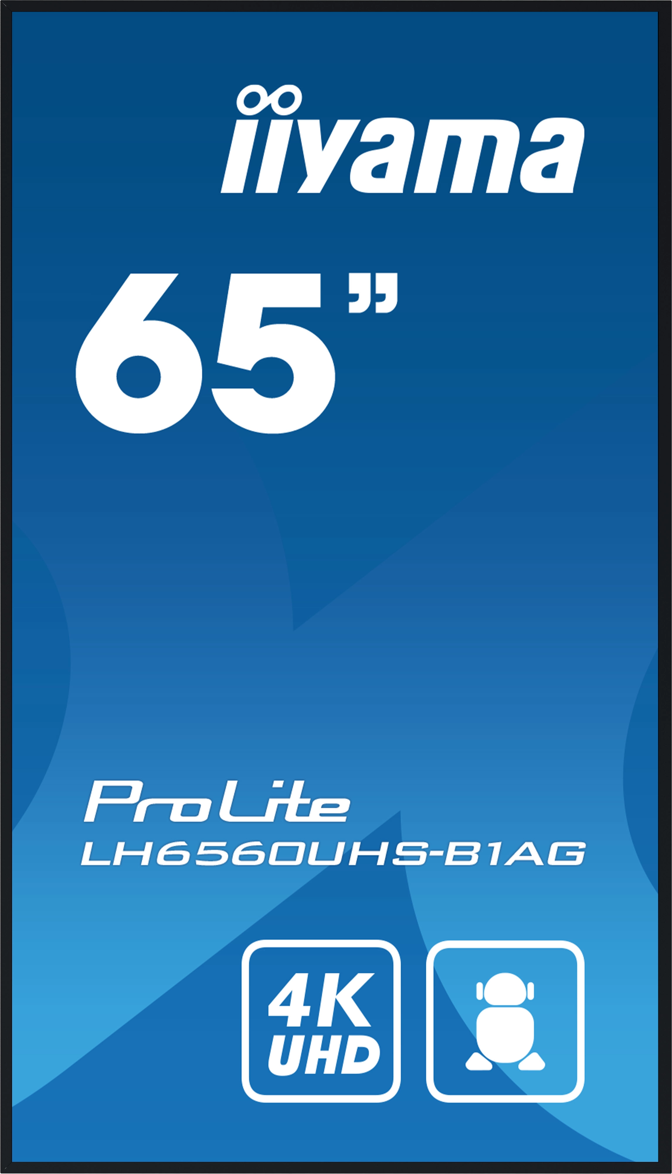 Iiyama ProLite LH6560UHS-B1AG - 64,5" Zoll - 3840x2160