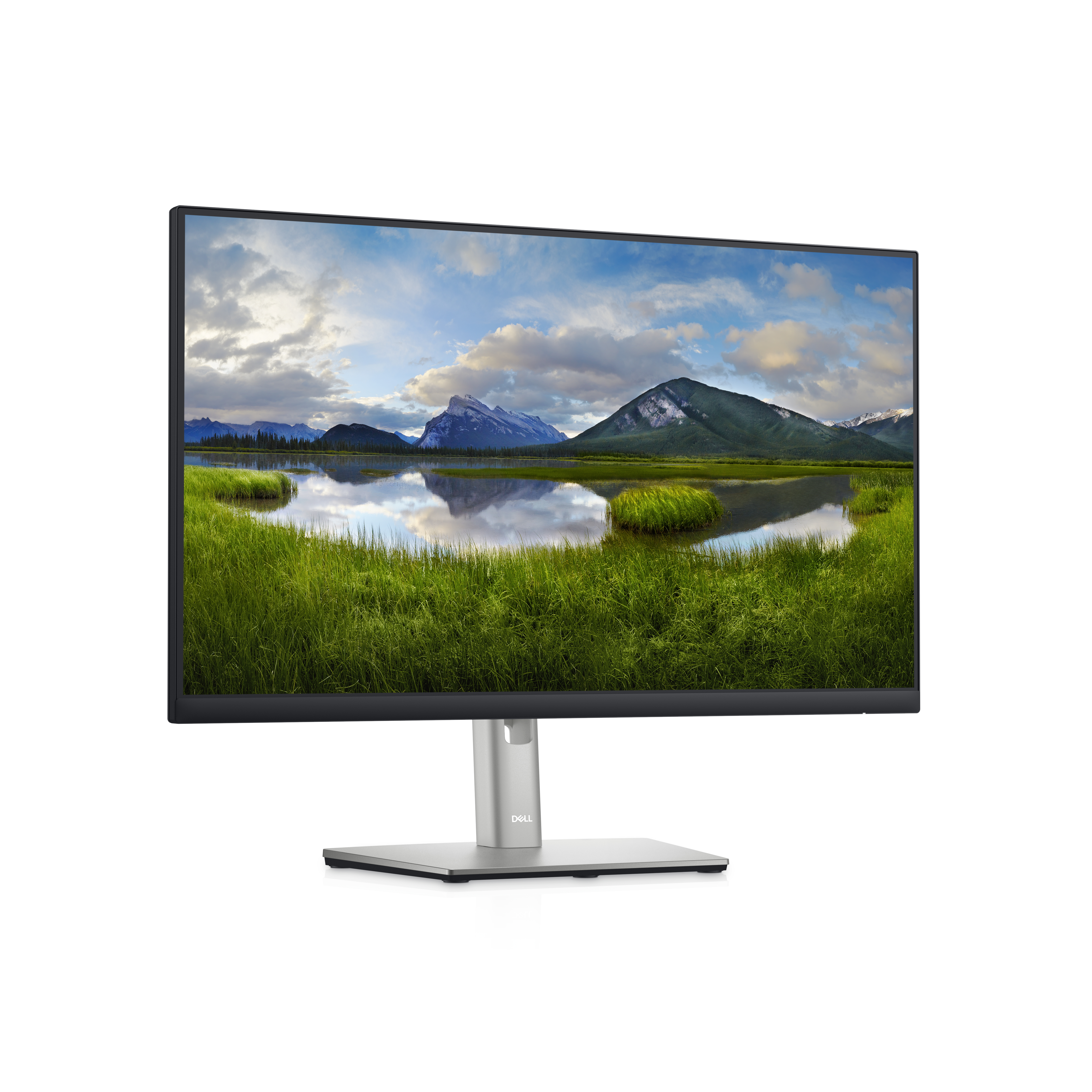 Dell P2422HE - 23,8" Zoll - 1920x1080