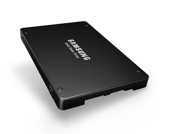 Samsung PM1643a MZILT960HBHQ - SSD - 960 GB - intern - 2.5" (6.4 cm)