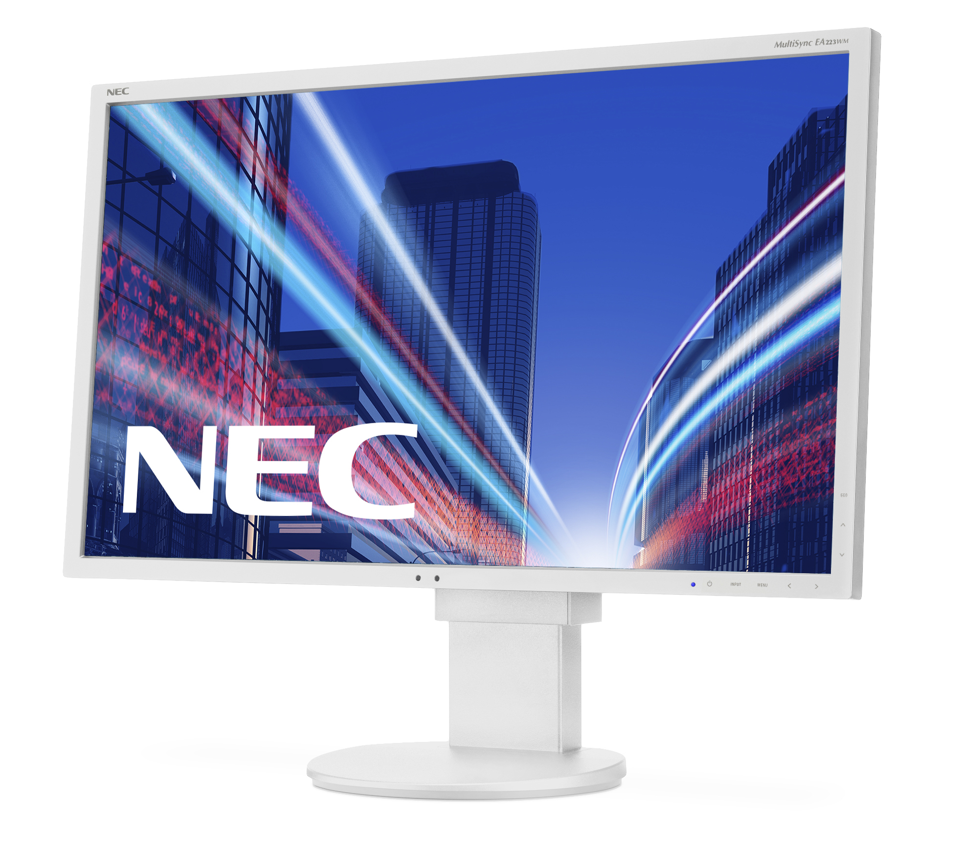 NEC Display MultiSync EA223WM - 22" Zoll - 1680x1080